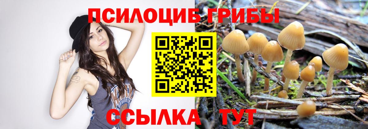 Галлюциногенные грибы мухоморы Химки
